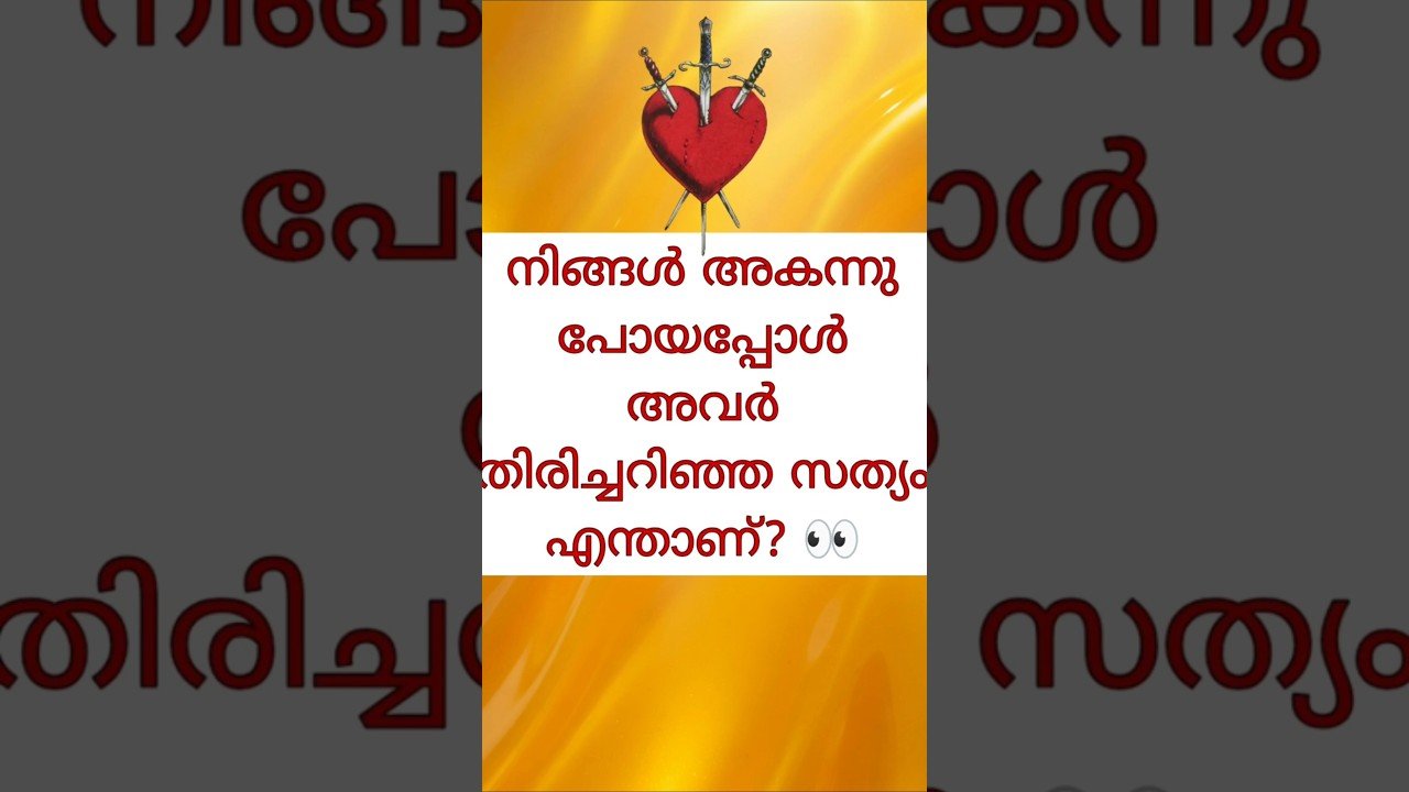 No momento, você está visualizando അവർ തിരിച്ചറിഞ്ഞ സത്യം എന്താണ്? #tarot
