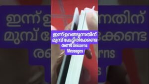 Leia mais sobre o artigo ദൈവ അനുഗ്രഹം ഉണ്ട് #angeloracle #malayalmtarotreading #tarot