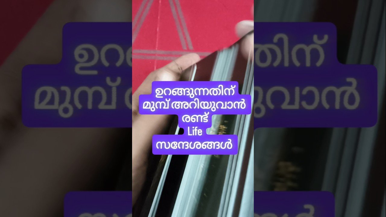 No momento, você está visualizando സ്വന്തം ചിന്തകളെ ചോദ്യം ചെയ്യുക #angeloracle #malayalmtarotreading #tarot