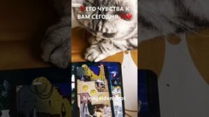 Leia mais sobre o artigo ‼️ЕГО ЧУВСТВА К ВАМ СЕГОДНЯ ‼️❤️ #рекомендации #таро #tarot