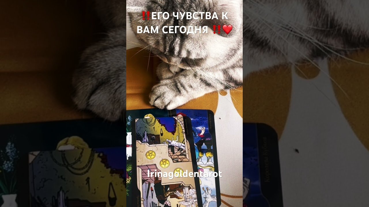No momento, você está visualizando ‼️ЕГО ЧУВСТВА К ВАМ СЕГОДНЯ ‼️❤️ #рекомендации #таро #tarot