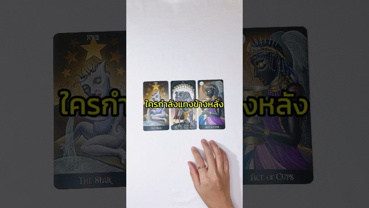 No momento, você está visualizando ใครกำลังเเทงข้างหลัง #ไพ่ทาโรต์ #tarot #pickacard #เทรนด์วันนี้ #tarotreading #tarotreader