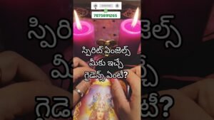 Leia mais sobre o artigo ❤️💯❤️స్పిరిట్ ఏంజెల్స్ మీకు ఇచ్చే గైడెన్స్ ఏంటి?#shorts#ytshorts #tarot#trending #divinestartarot369