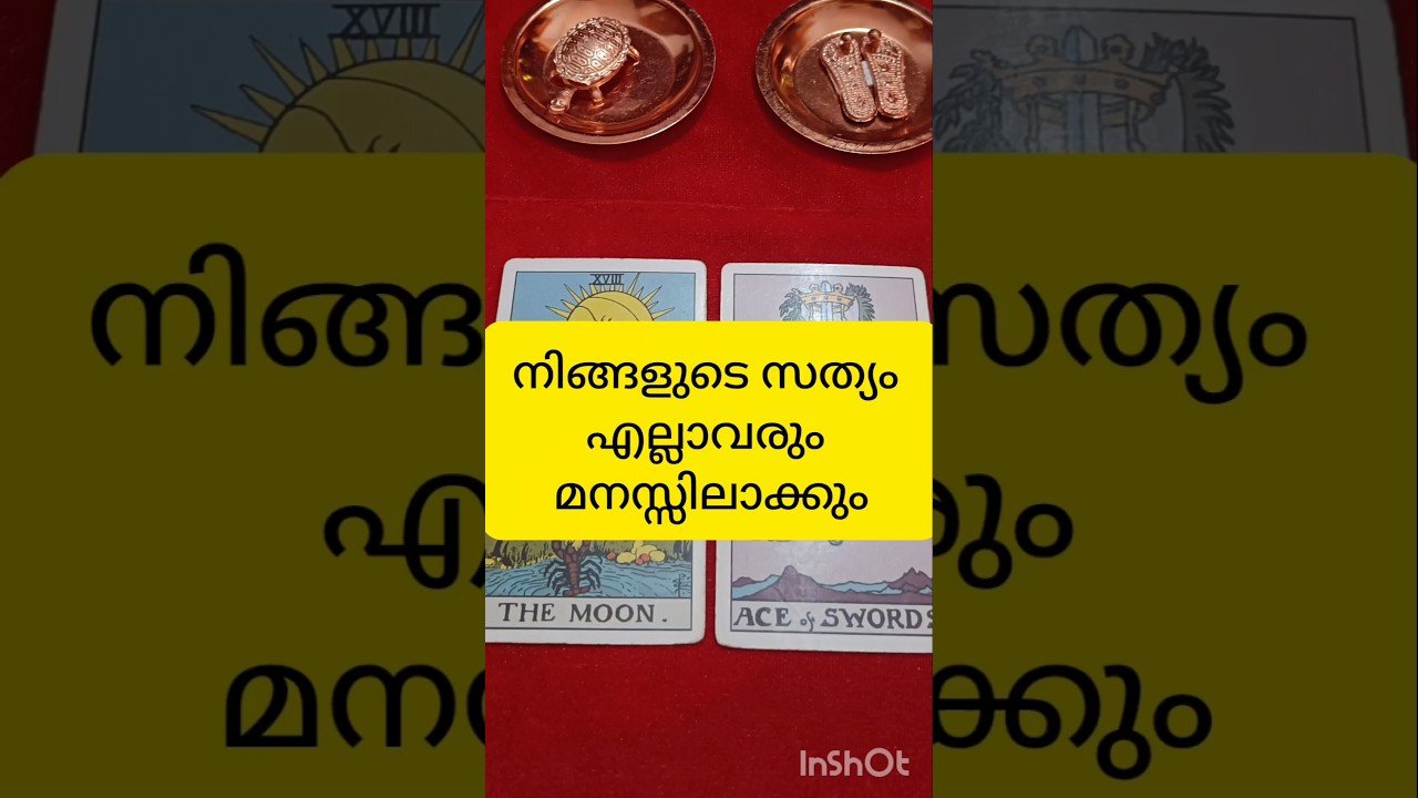 No momento, você está visualizando ചില സത്യങ്ങൾ #tarot #shortsfeed #shortvideo