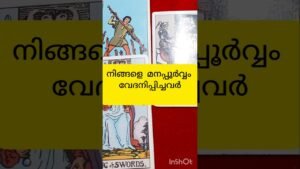 Leia mais sobre o artigo എല്ലാറ്റിനും അവസാനം #tarot #shortsfeed #shortvideo
