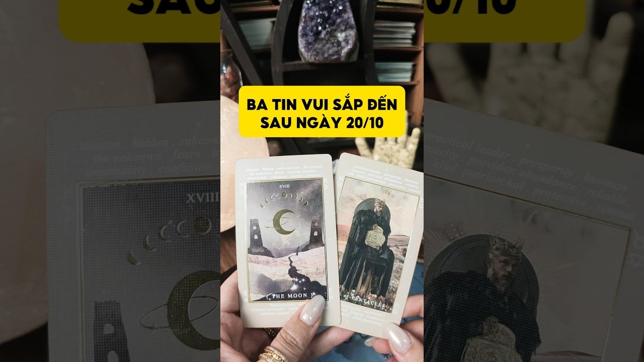 No momento, você está visualizando Ba tin vui sắp đến sau ngày 20/10 #tarot #duongtarot #tarotreels #tarotvietnam #tarotonline #tinhyeu