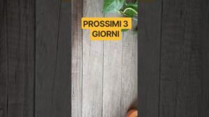 Leia mais sobre o artigo COSA SUCCEDERÀ ENTRO 3 GIORNI? #itarocchidicristy #messaggio #tarocchi #tarot #tarotreading