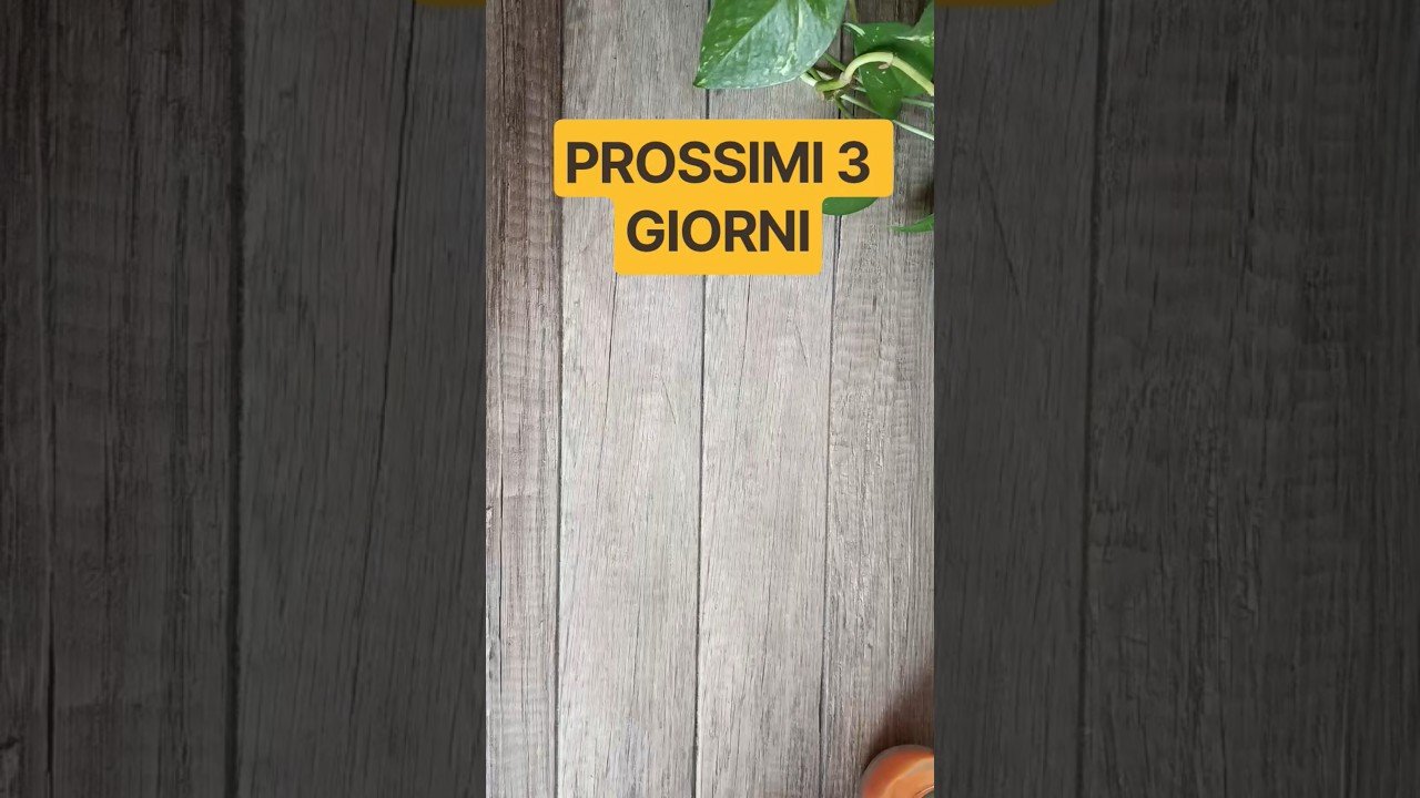 No momento, você está visualizando COSA SUCCEDERÀ ENTRO 3 GIORNI? #itarocchidicristy #messaggio #tarocchi #tarot #tarotreading