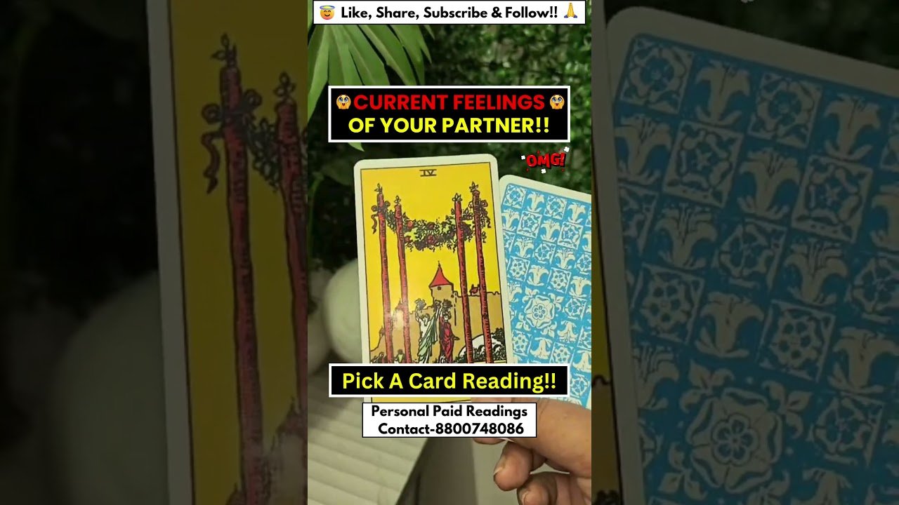 No momento, você está visualizando Current feelings of your partner!?😍#currentfeelings #tarot #soulmate #lovereading #reunion #lovelife