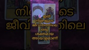 Leia mais sobre o artigo 💖 നിങ്ങൾ കാത്തിരുന്ന അനുഗ്രഹങ്ങൾ ഇപ്പോൾ എത്തിച്ചേരുന്നു! ✨#tarot