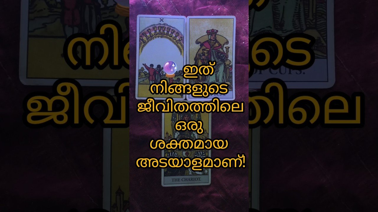 No momento, você está visualizando 💖 നിങ്ങൾ കാത്തിരുന്ന അനുഗ്രഹങ്ങൾ ഇപ്പോൾ എത്തിച്ചേരുന്നു! ✨#tarot