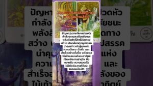 Leia mais sobre o artigo 🔮Random | ชีวิตเดินทางเข้าใกล้ความมั่นคงที่คุณต้องการ #tarot #tarotreading #pickacard #fyp #foryou