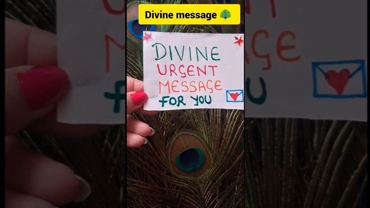 No momento, você está visualizando divine message#peacoke 🦚#DivyaSandesh💌#Tarot #TarotReading #SpiritualMessage#shorts#viral