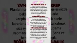 Leia mais sobre o artigo Günlük Burç Yorumları #astrology #astroloji #tarot