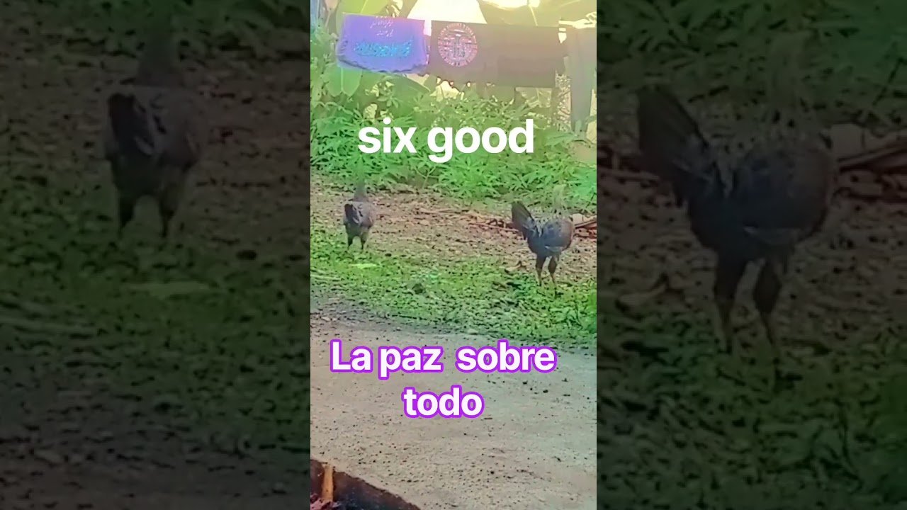 No momento, você está visualizando lo que te indican las cartas #tarot #horoscopo #lecturacartas #amor