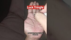 Leia mais sobre o artigo Luck Tringle in Palmistry #Astrology #Jyotish #Palmistry #tarot #sprituality #trending