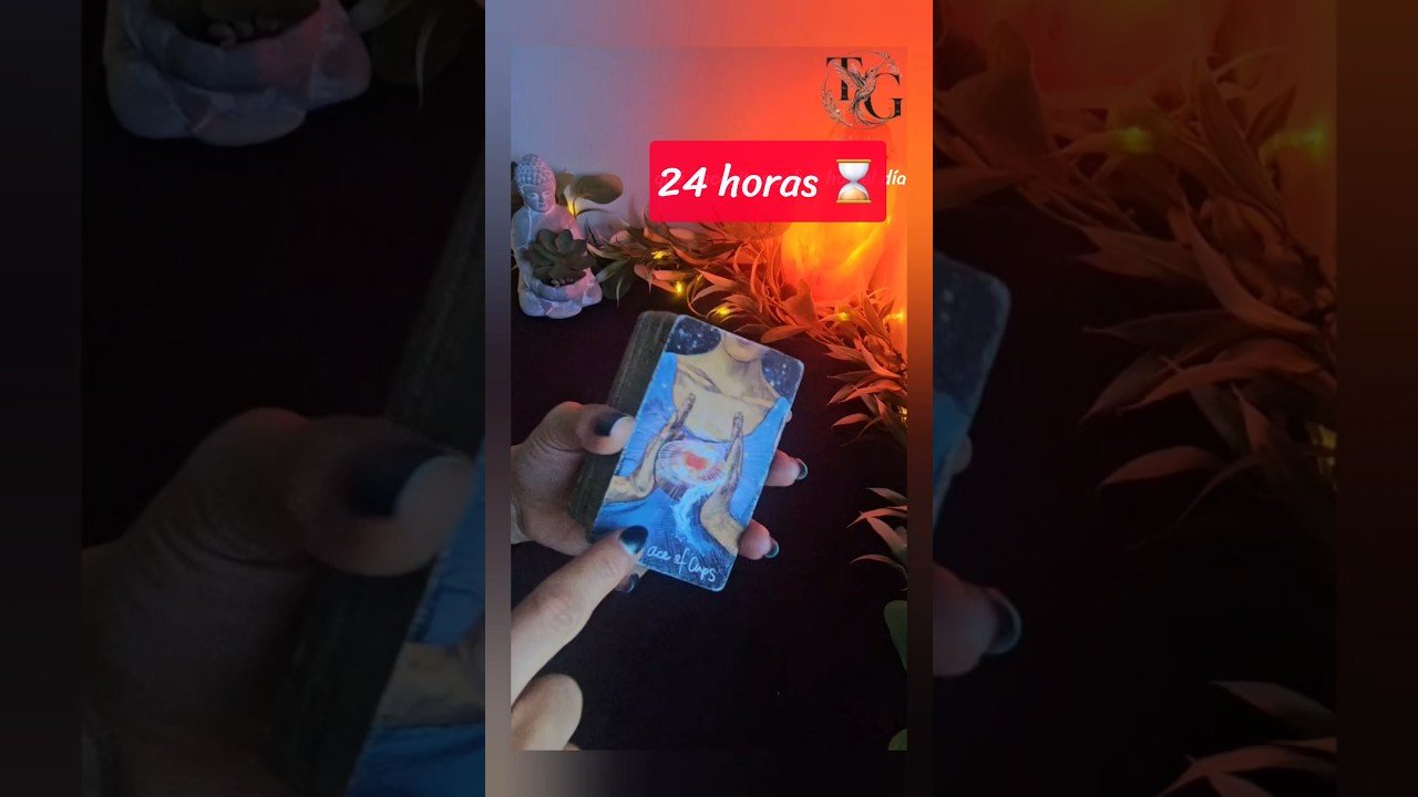 No momento, você está visualizando Mensaje del tarot para tus próximas 24 horas 👀📩 #amor #tarotgratis #tarot #tarotatemporal #tarothoy