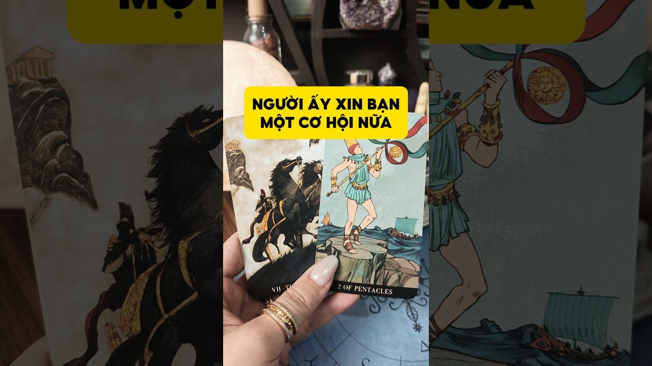 No momento, você está visualizando Người ấy xin bạn một cơ hội nữa #tarot #duongtarot #tarotreels #tarotvietnam #tarotonline #tinhyeu