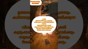 Leia mais sobre o artigo nigalle kurich tarot parayunnu🙏 #timelessreading #collectivereading #tarot