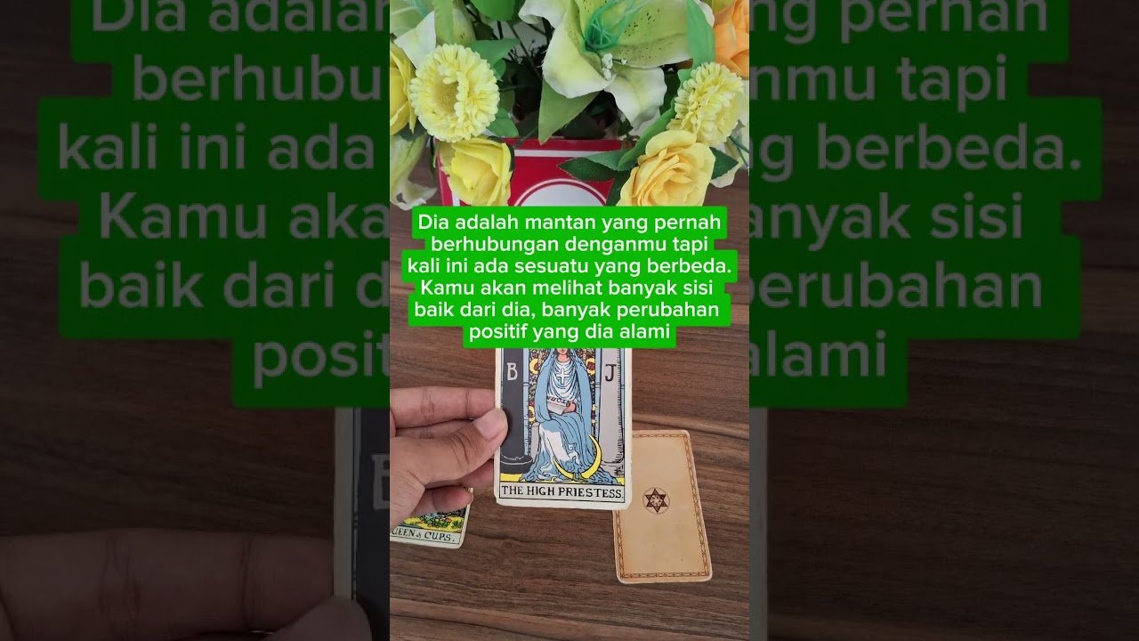 No momento, você está visualizando pertemuannya yang mengejutkan #tarot #ketenanganhati