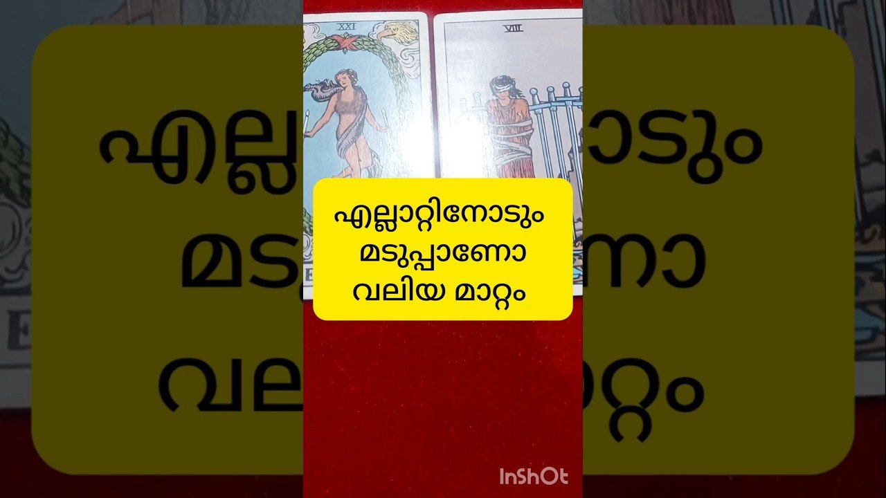 No momento, você está visualizando positive change coming #tarot #shortvideo #shortsfeed