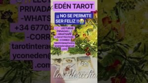 Leia mais sobre o artigo SE ALEJA PORQUE NO SABE SER FELIZ 😭✨️🔮 #tarot #tarotamornuevo #tarotamornuevo #lecturadetarot #amor