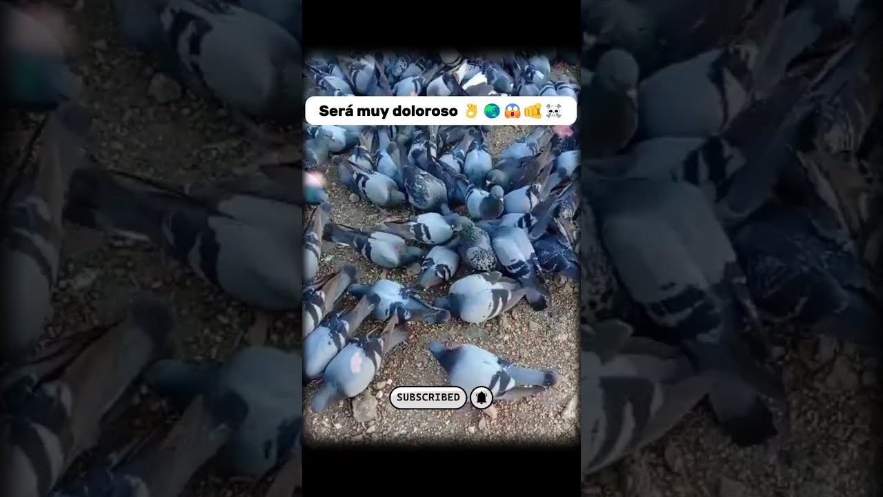 No momento, você está visualizando Será muy doloroso 👌🌏😱🫵☠️ #foryou #tarot #viral #feedshorts #shortsfeed  #parati #shortvideo