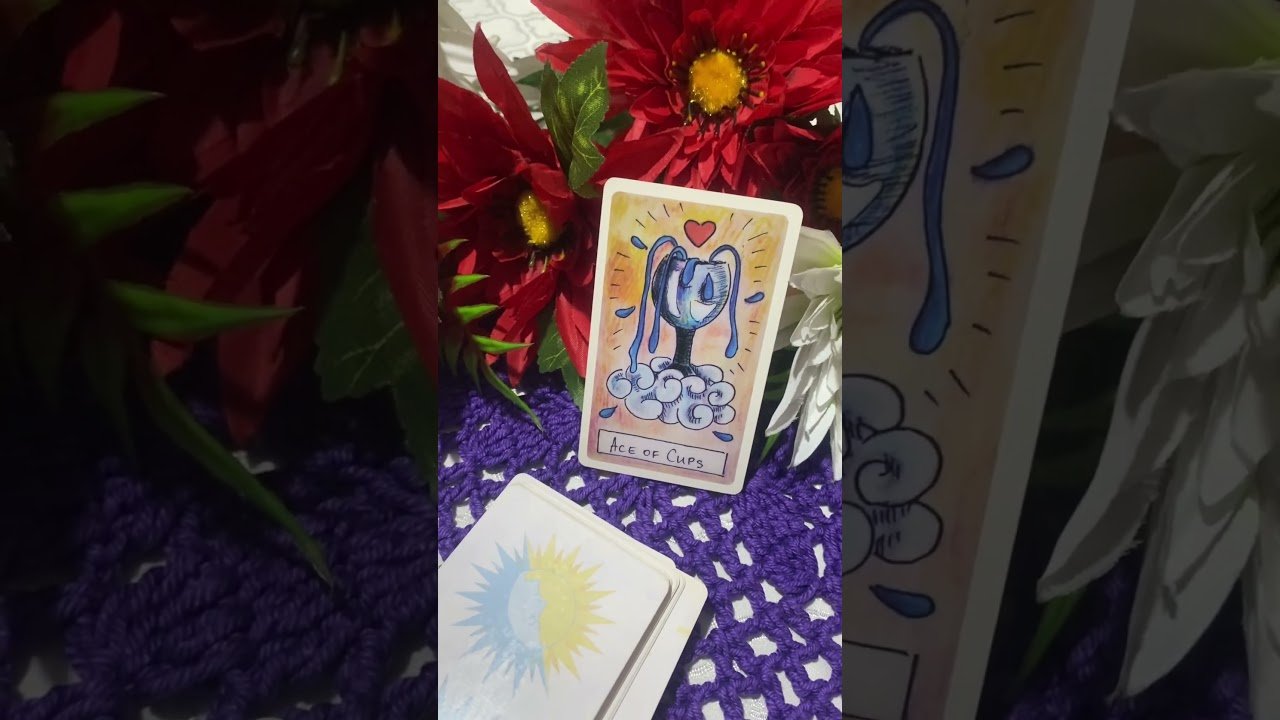 No momento, você está visualizando Sextou 16 de Outubro – Sorte do Dia #tarododia #tarot #cartasdetarot