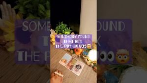 Leia mais sobre o artigo #tarot #copycat #crashout #scam #fraud #nosey #karmic #karmicfamily #karmicpartners #fakefriends