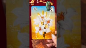 Leia mais sobre o artigo #tarot #tarotcards #baralhocigano #mulher #amor #paixão #tarotonline #tarotdodia #mensagem #woman