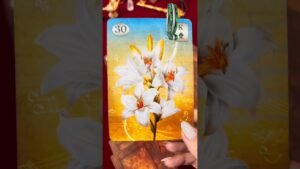 Leia mais sobre o artigo #tarot #tarotcards #baralhocigano #mulher #amor #paixão #woman #tarotonline #tarotdodia #mensagem
