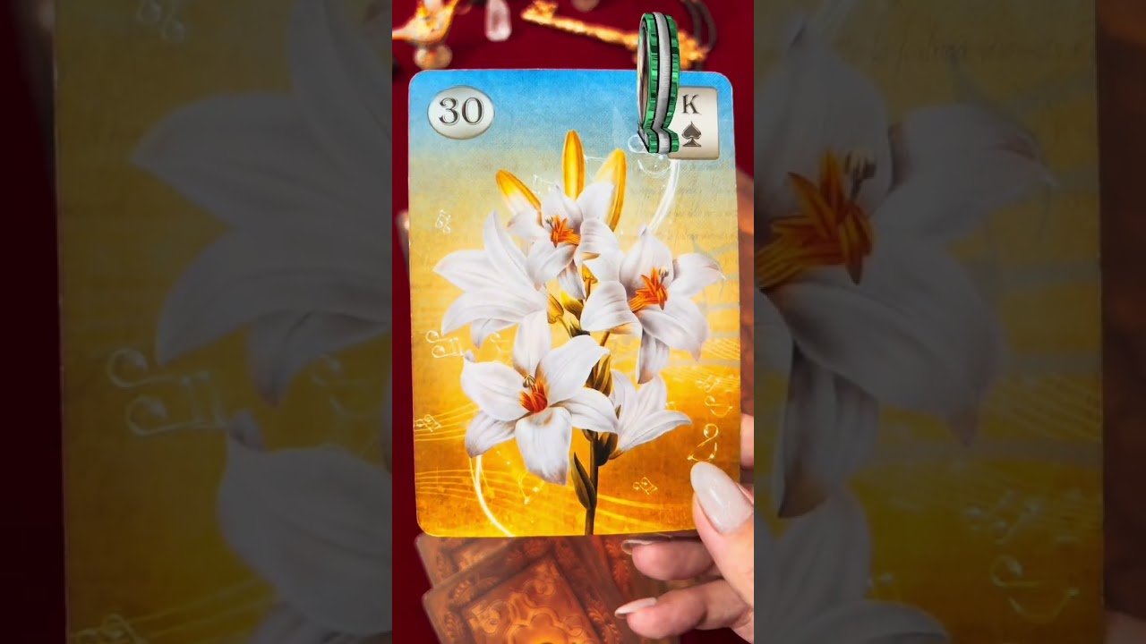No momento, você está visualizando #tarot #tarotcards #baralhocigano #mulher #amor #paixão #woman #tarotonline #tarotdodia #mensagem