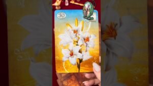 Leia mais sobre o artigo #tarot #tarotcards #baralhocigano #amor #mulher #paixão #woman #tarotonline #tarotdodia #mensagem