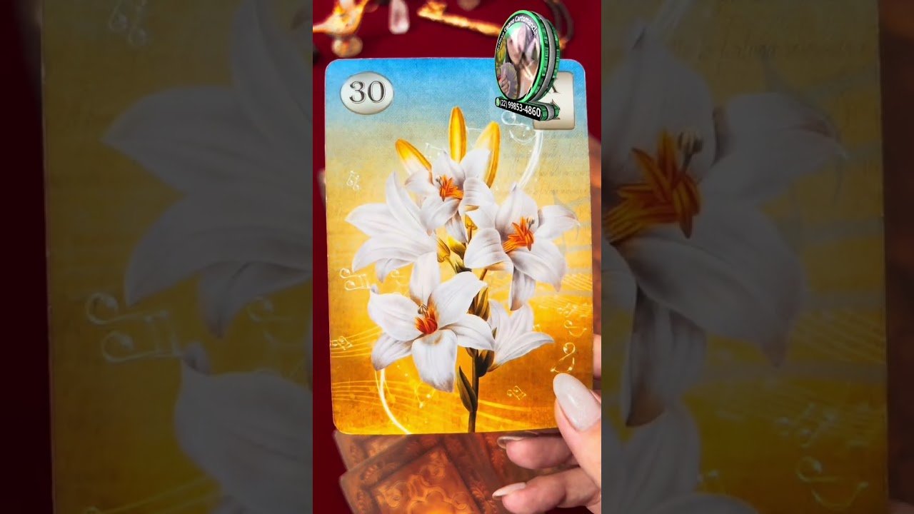 No momento, você está visualizando #tarot #tarotcards #baralhocigano #amor #mulher #paixão #woman #tarotonline #tarotdodia #mensagem