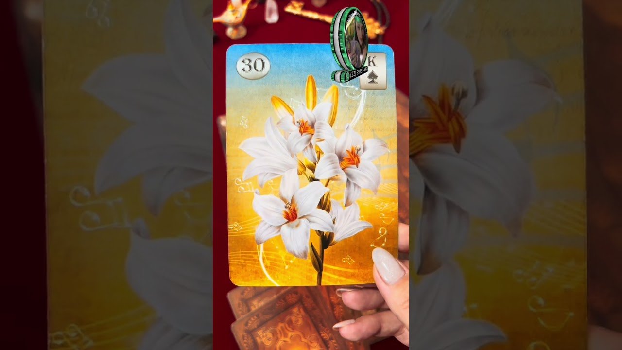 No momento, você está visualizando #tarot #tarotcards #baralhocigano #mulher #amor #paixão #tarotonline #tarotdodia #mensagem