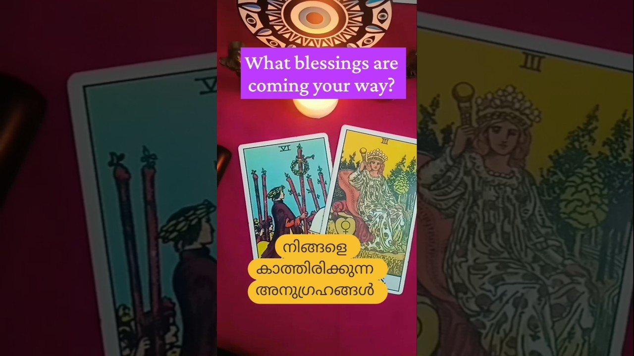 No momento, você está visualizando #tarot#malayalamtarotcardreading#universeblessings# shorts