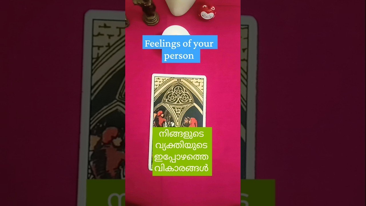 No momento, você está visualizando #tarot#malayalamtarotcardreading#relationshipreading#shorts
