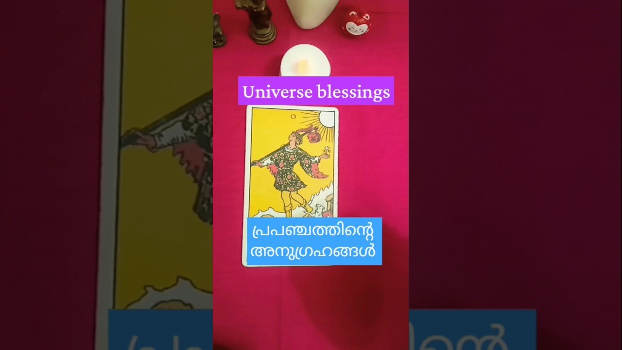 No momento, você está visualizando #tarot#malayalamtarotreading#universeblessings#shorts