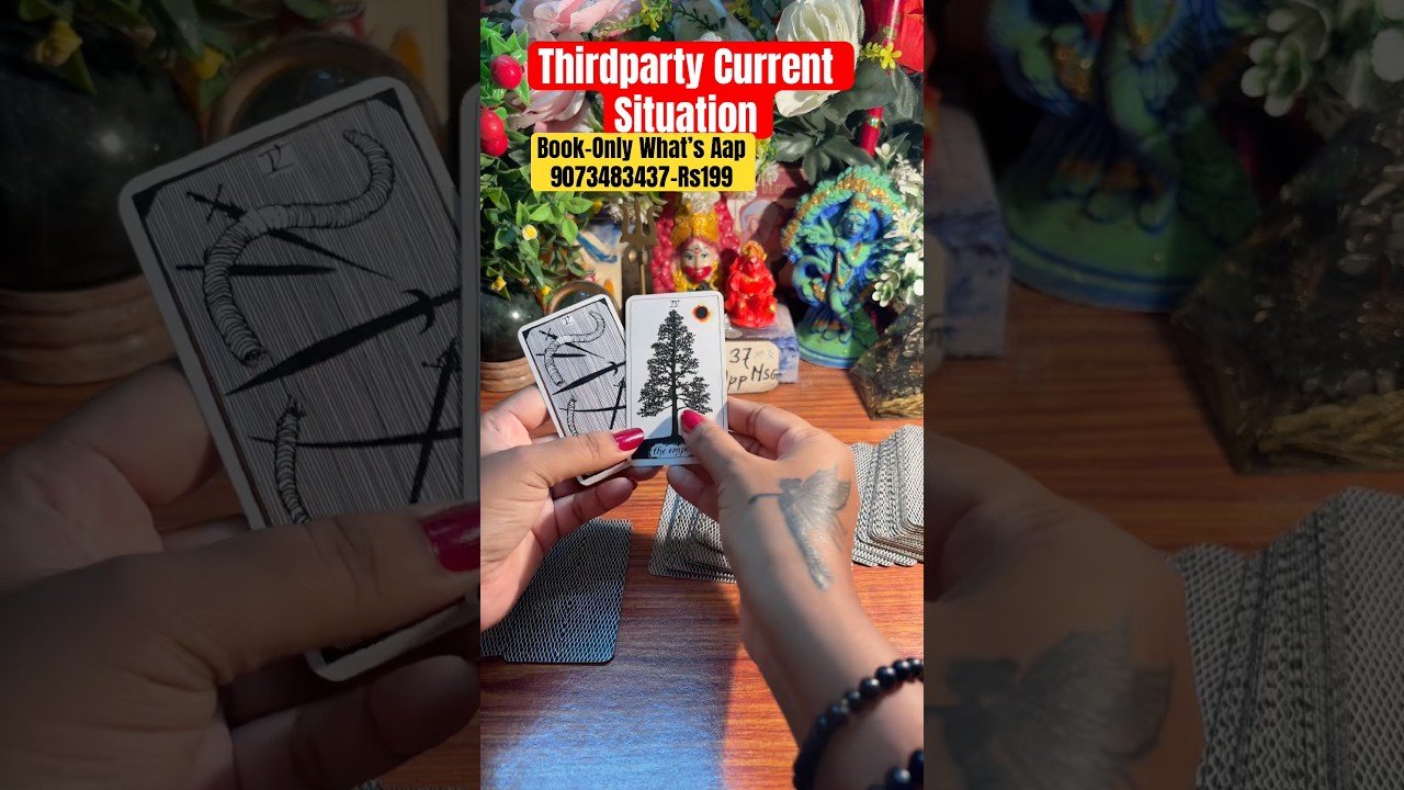 No momento, você está visualizando Thirdparty Current Situation 🥰🦋👩‍❤️‍👨🕉️ #tarot #currentfeelings #tarotreading #viralvideo