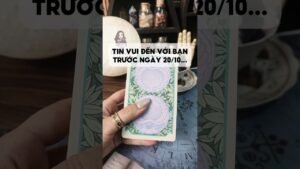 Leia mais sobre o artigo Tin vui đến với bạn trước ngày 20/10… #tarot #duongtarot #tarotreels #tarotvietnam #tarotonline