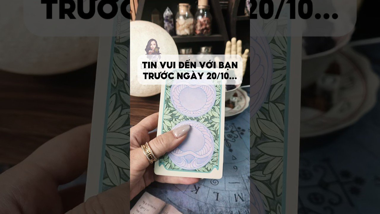 No momento, você está visualizando Tin vui đến với bạn trước ngày 20/10… #tarot #duongtarot #tarotreels #tarotvietnam #tarotonline