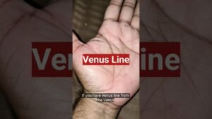 Leia mais sobre o artigo Venus Line | Palmistry #Astrology #Jyotish #Palmistry #trending #tarot