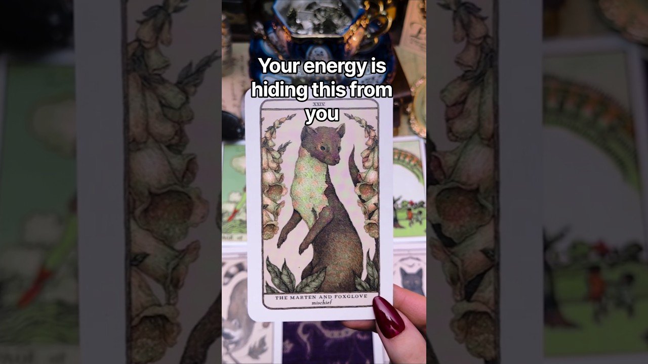 No momento, você está visualizando Your energy is hiding this from you #tarot #tarotreading